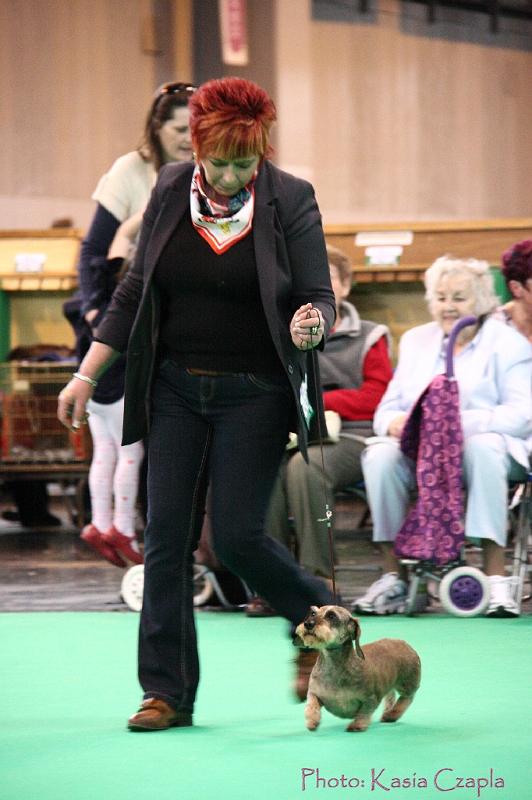 Crufts2011_2 1483.jpg